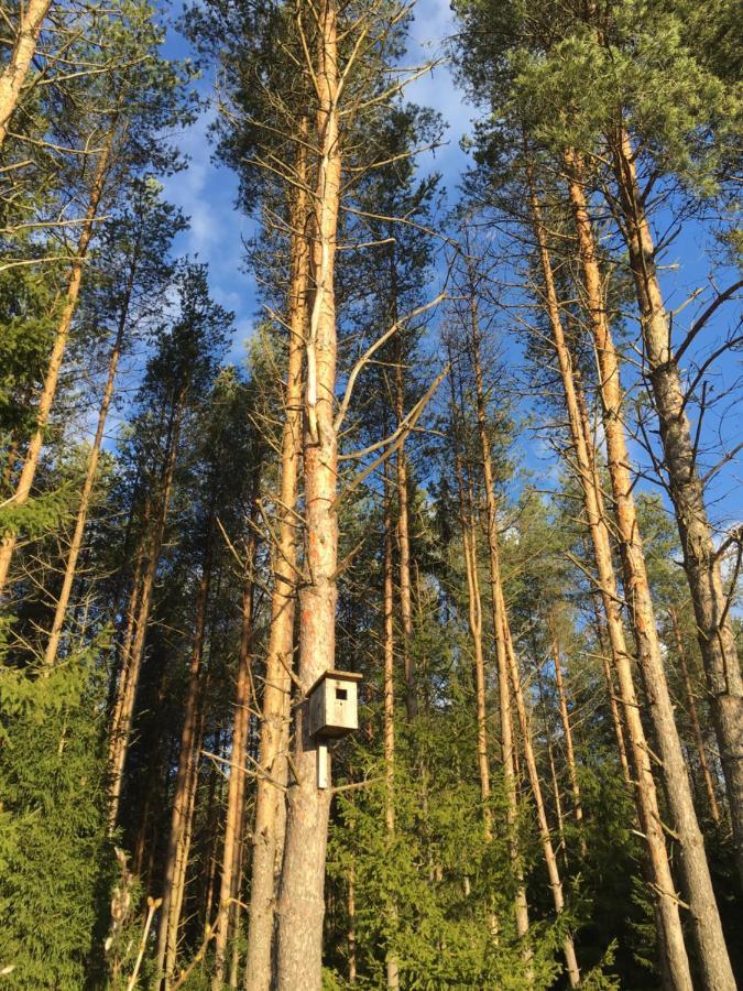 Kaeaenu Puhkemaja Vila Rakvere Exterior foto
