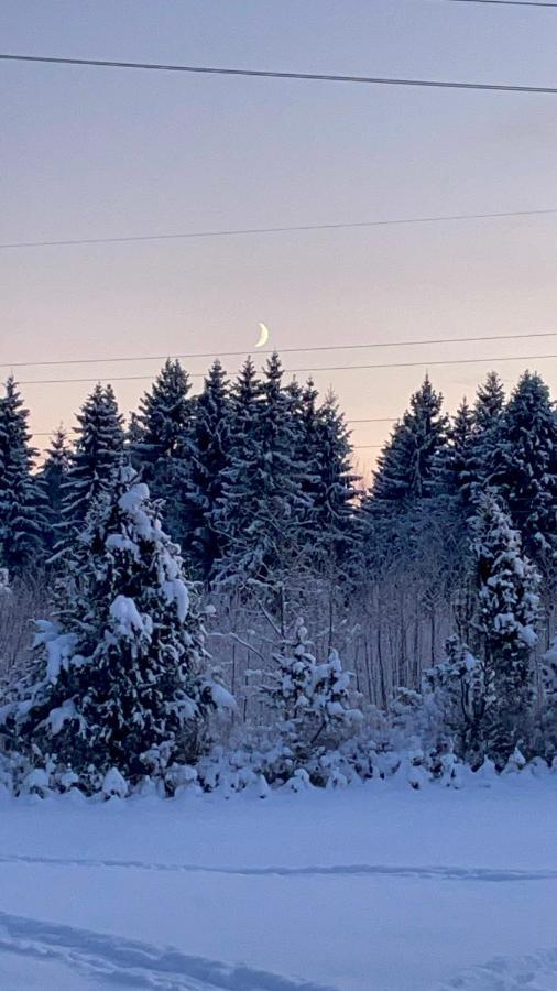 Kaeaenu Puhkemaja Vila Rakvere Exterior foto