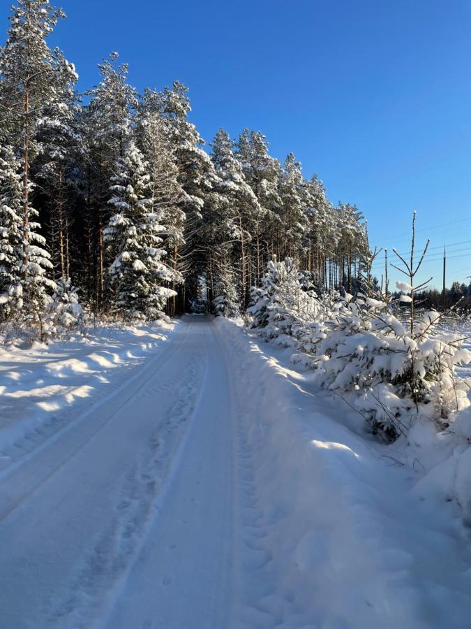 Kaeaenu Puhkemaja Vila Rakvere Exterior foto